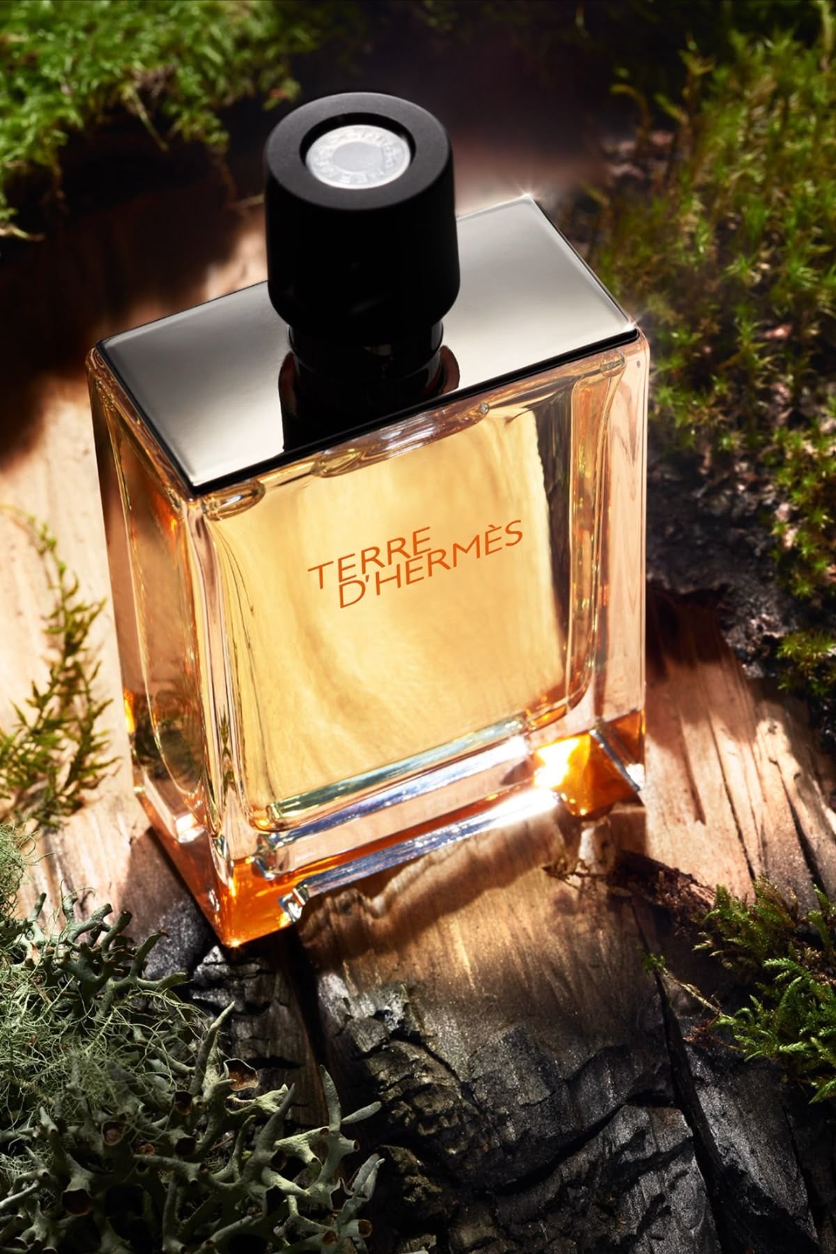 Hermès Terre d'Hermès